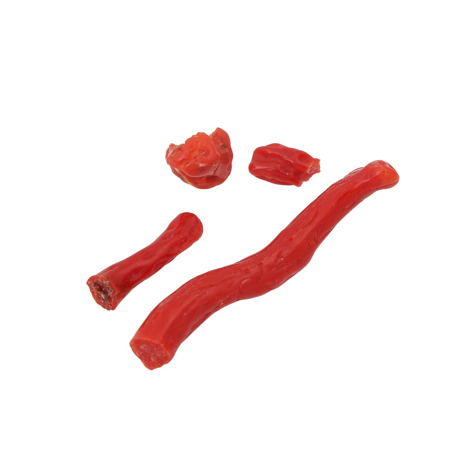 Zweig Korallenkette im Angebot 1