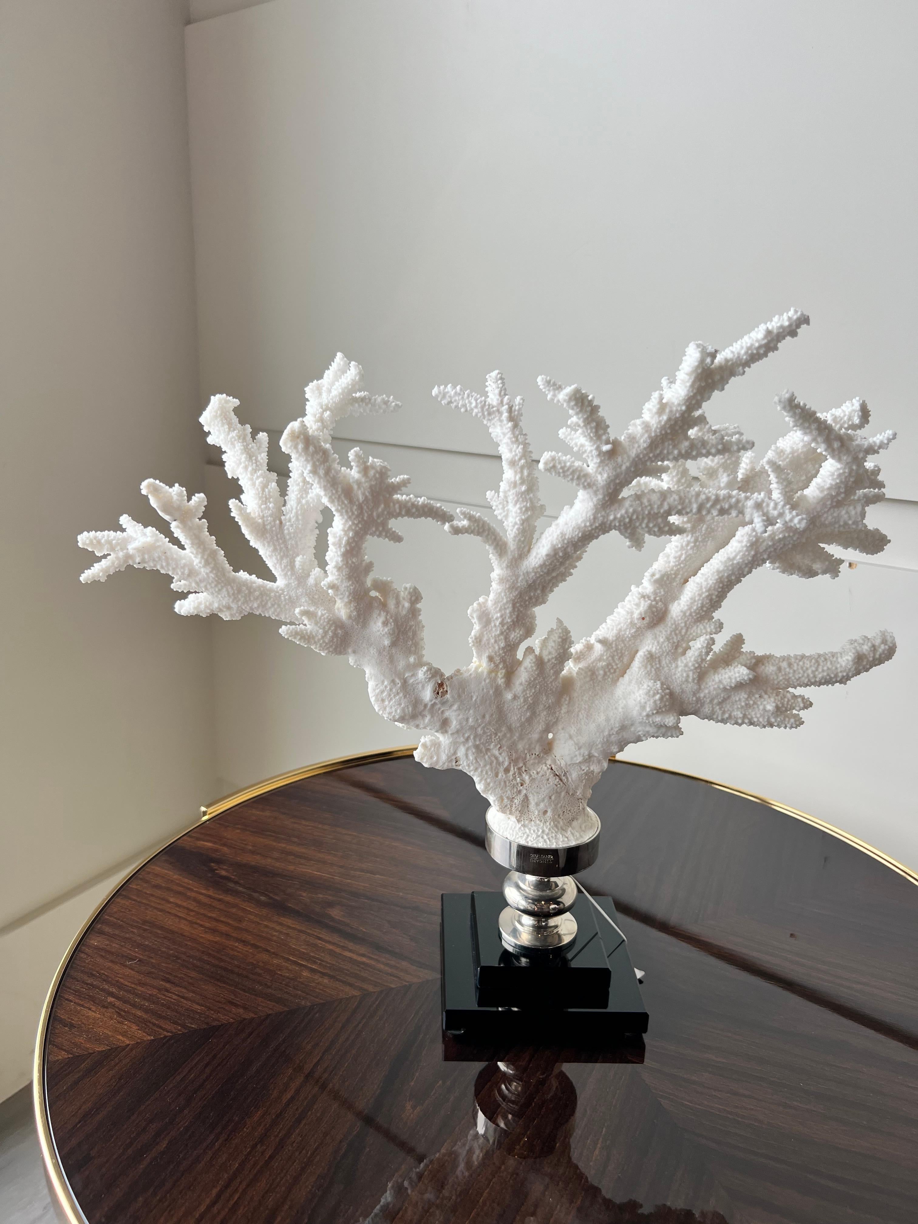 Branch Coral Nickel Mounted on Glass Base In New Condition For Sale In Vancouver, CA