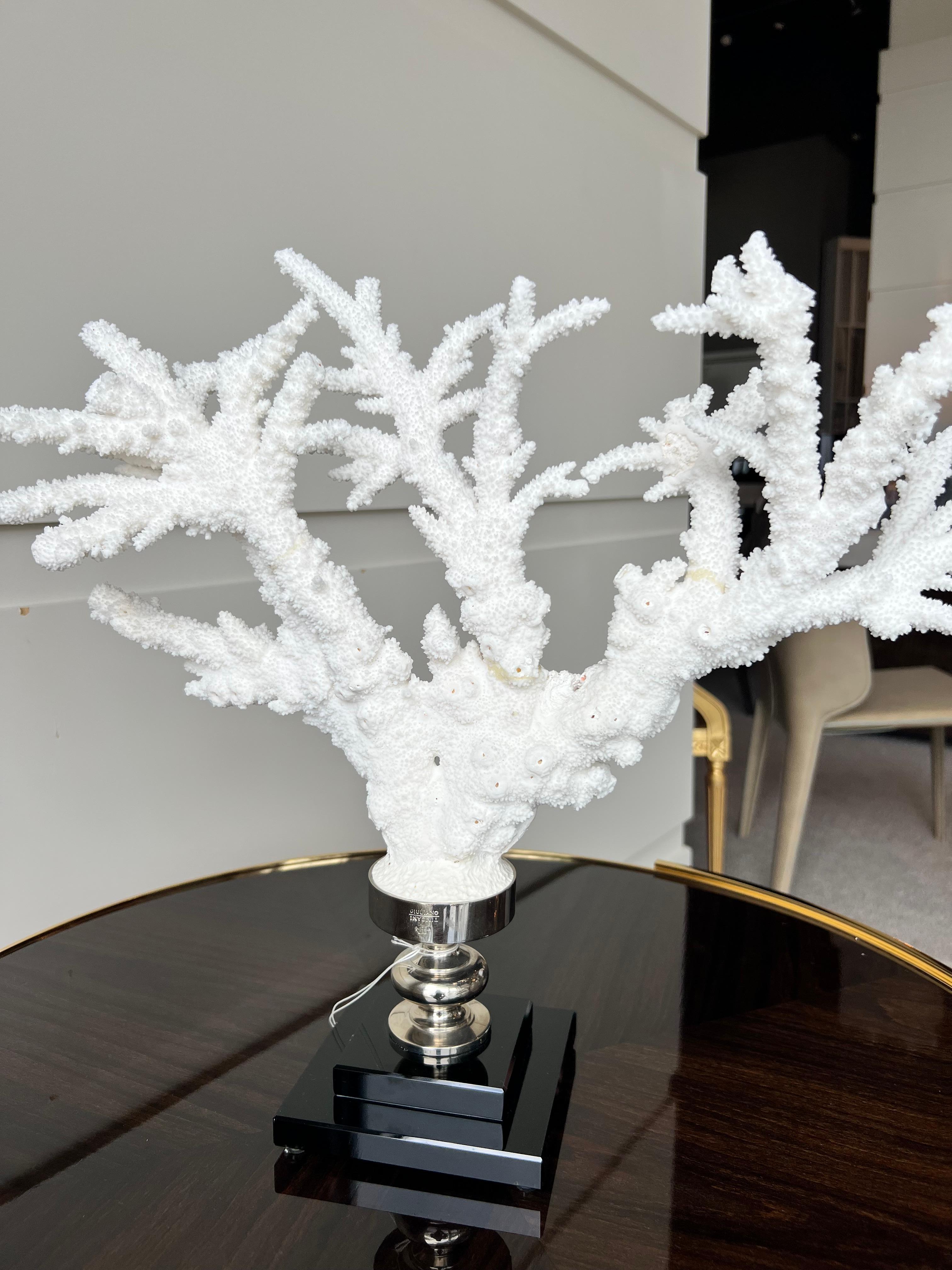 Contemporary Branch Coral Nickel Mounted on Glass Base For Sale