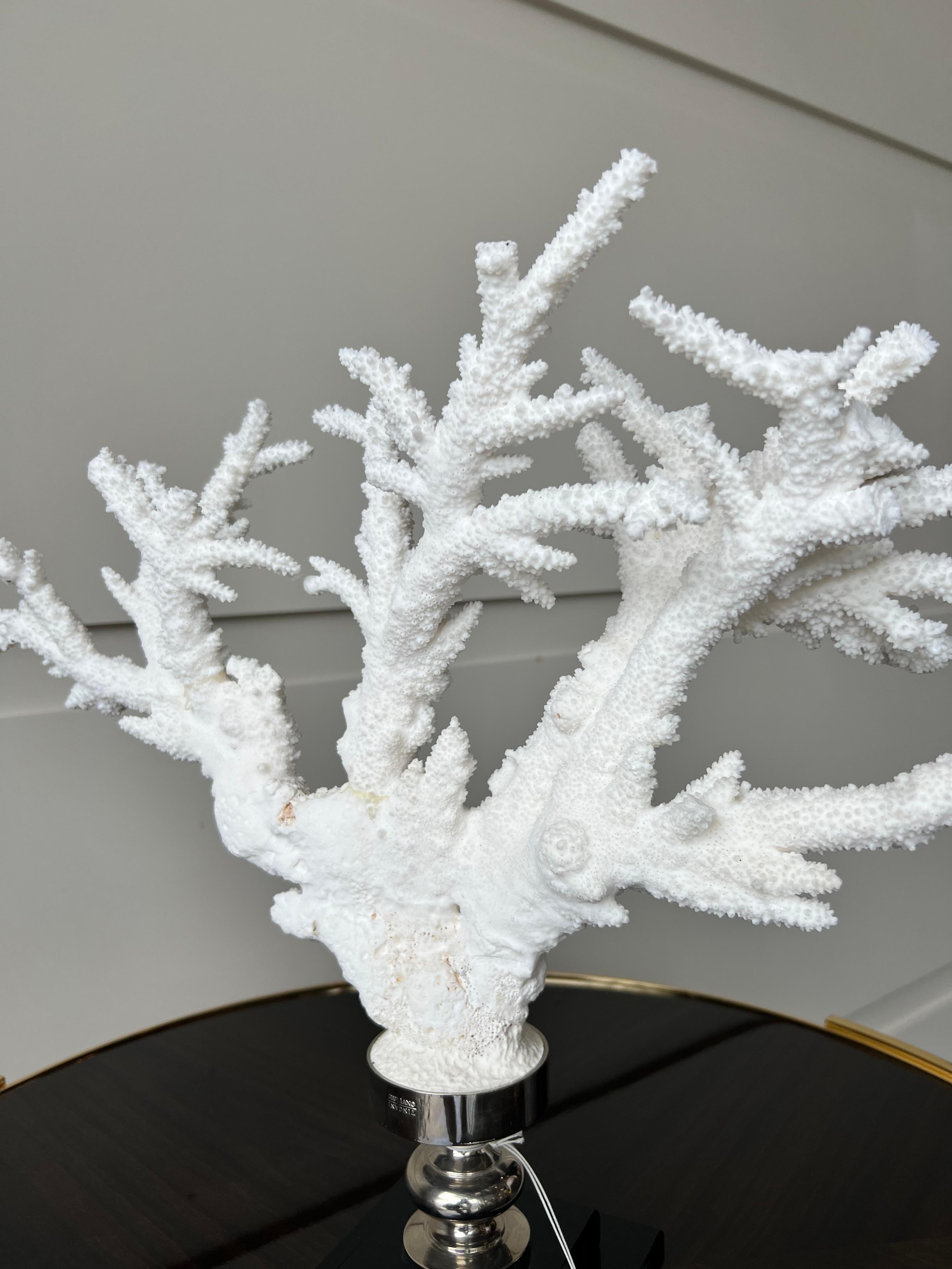 Branch Coral Nickel Mounted on Glass Base For Sale 2