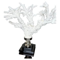 Branch Coral Nickel Mounted on Glass Base