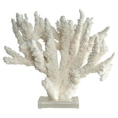 Sculptures
