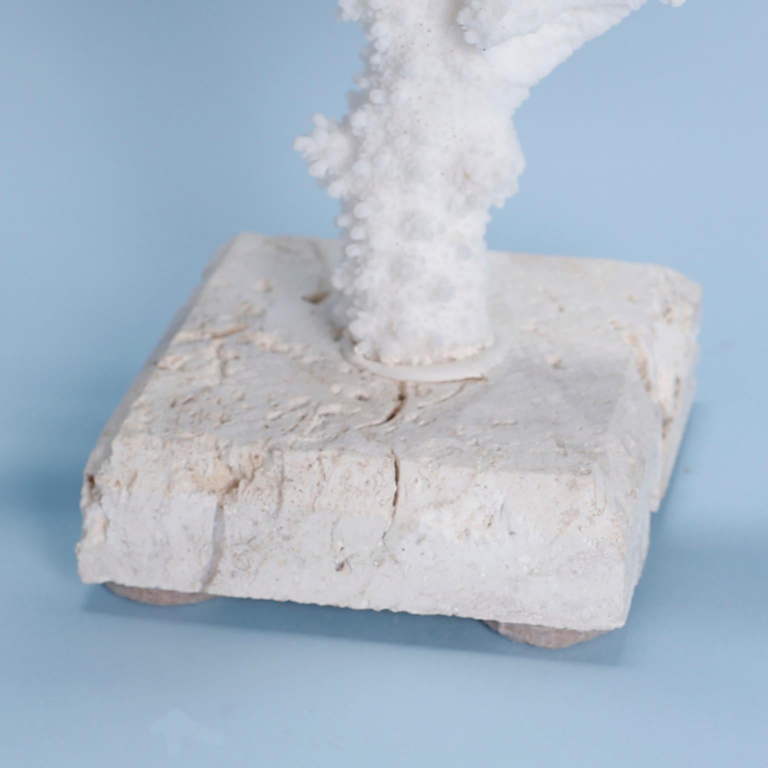 Organic Modern Branch Coral Sculpture on Coquina Stone