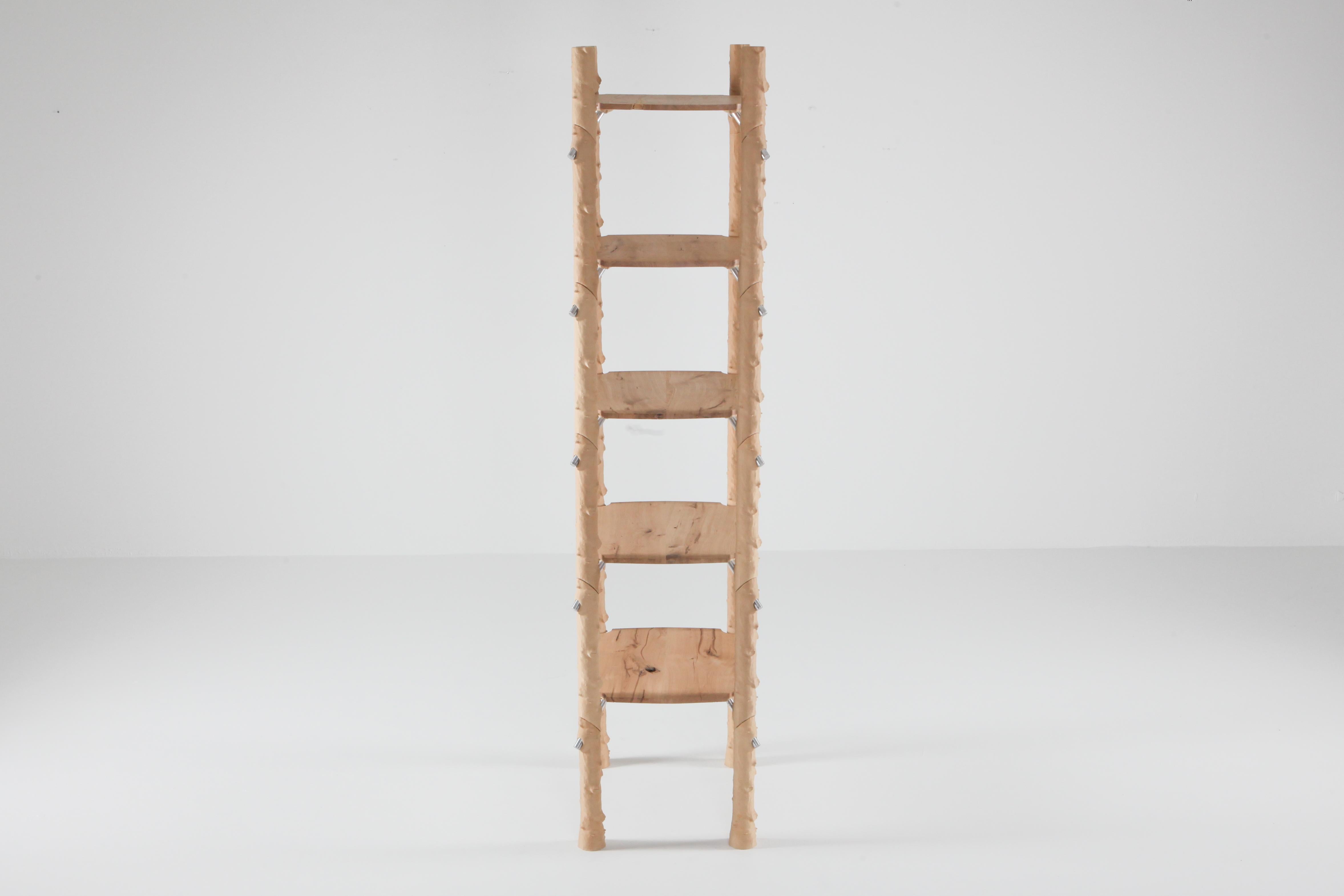 'Branch-Ish Shelf' Contemporary Free Standing Shelves, Schimmel & Schweikle 2020 In New Condition For Sale In Antwerp, BE