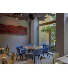 Branch Großer runder Tisch von Jakob Wagner für Cappellini