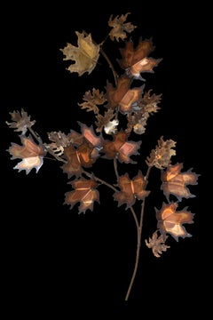 Branch w/ Leaves Wall Decoration, Signed C. Jere, 1971