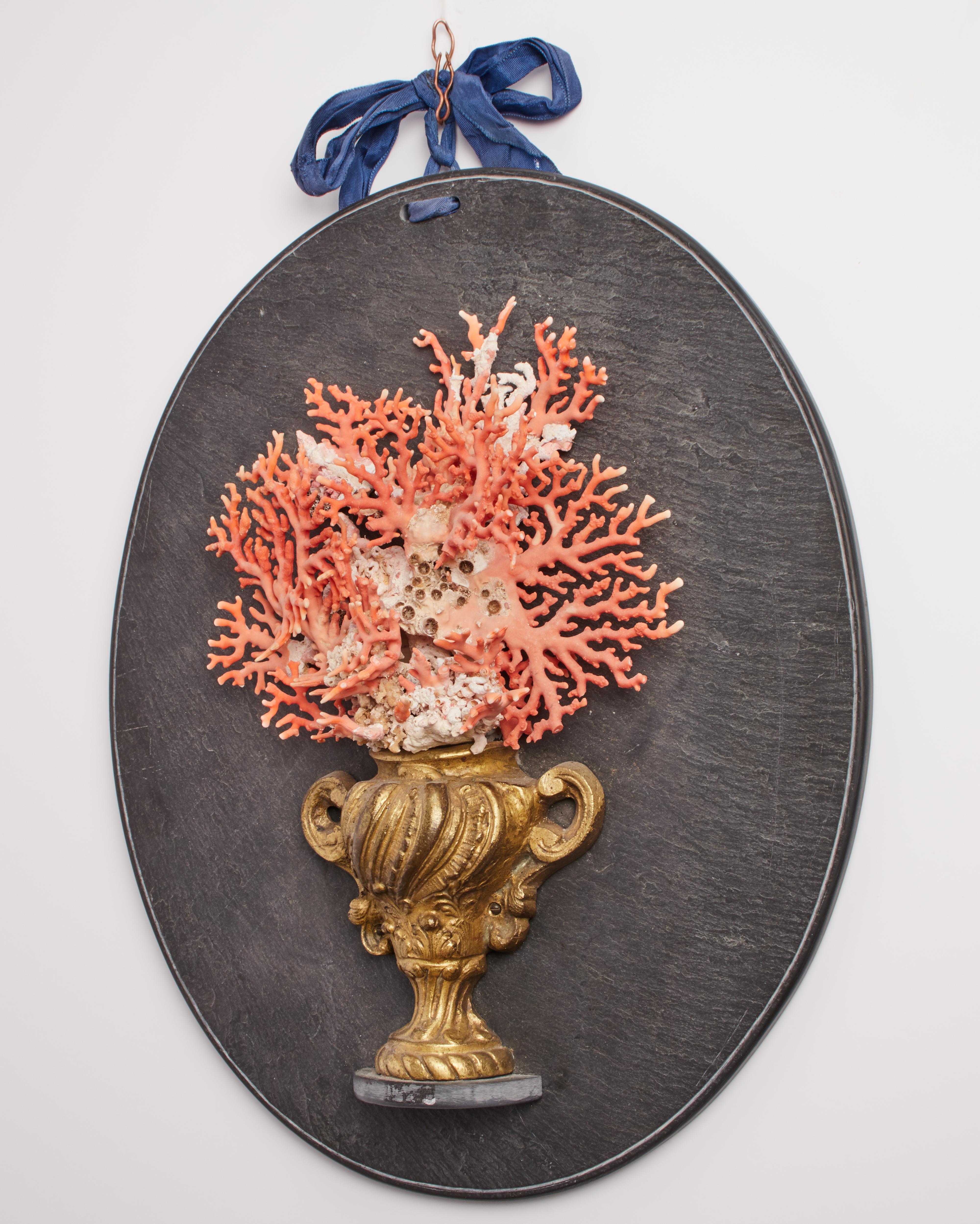 A Wunderkammer natural specimen. Cut off branches of Red Mediterranean (Rubrum) coral, mounted on an early golden painted wooden and bronze XVIII century base, depicting a vase. The coral sample fan shape is mounted over a slice of slate of oval