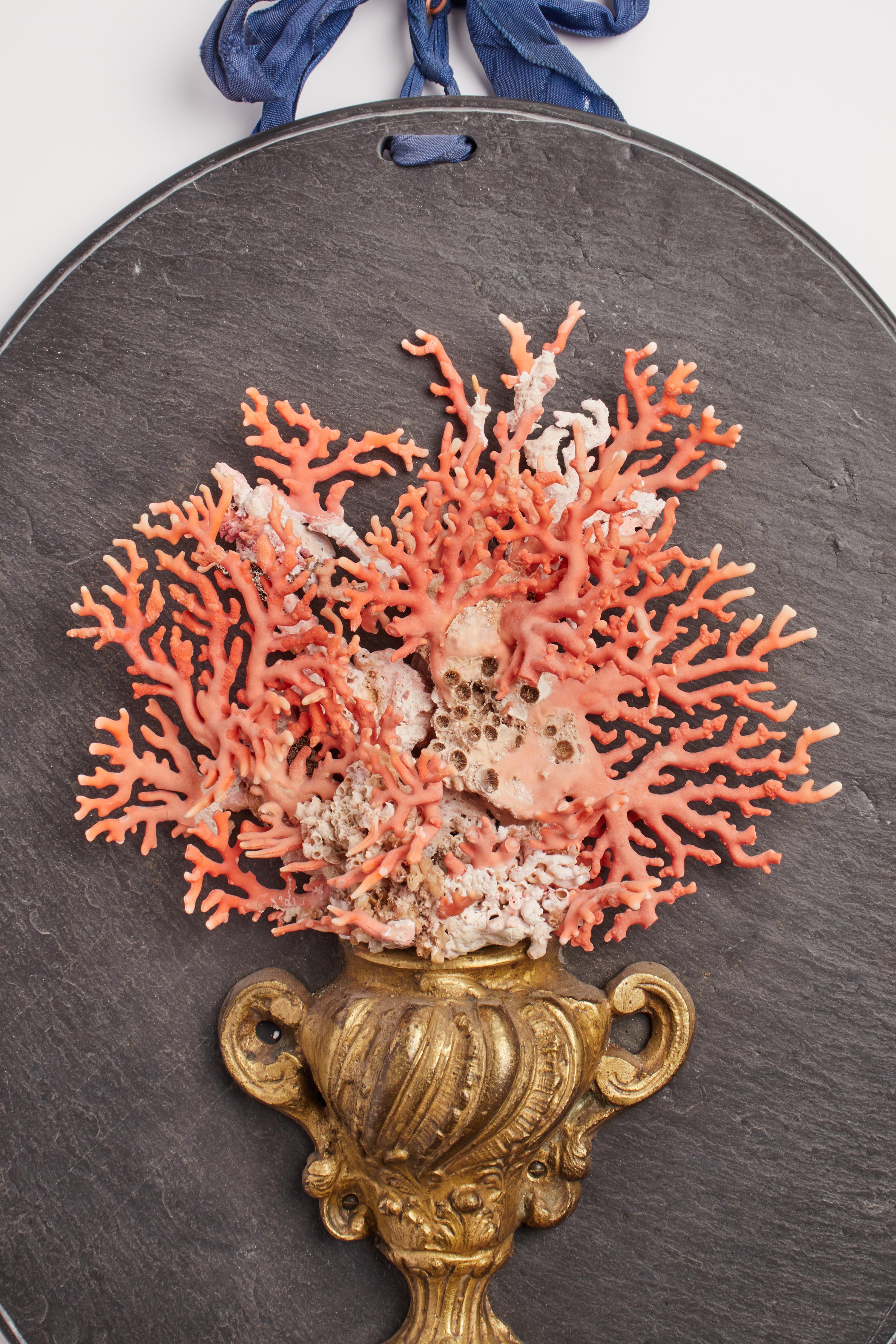 Italian Branches of Mediterranean Coral, Italy, 1850