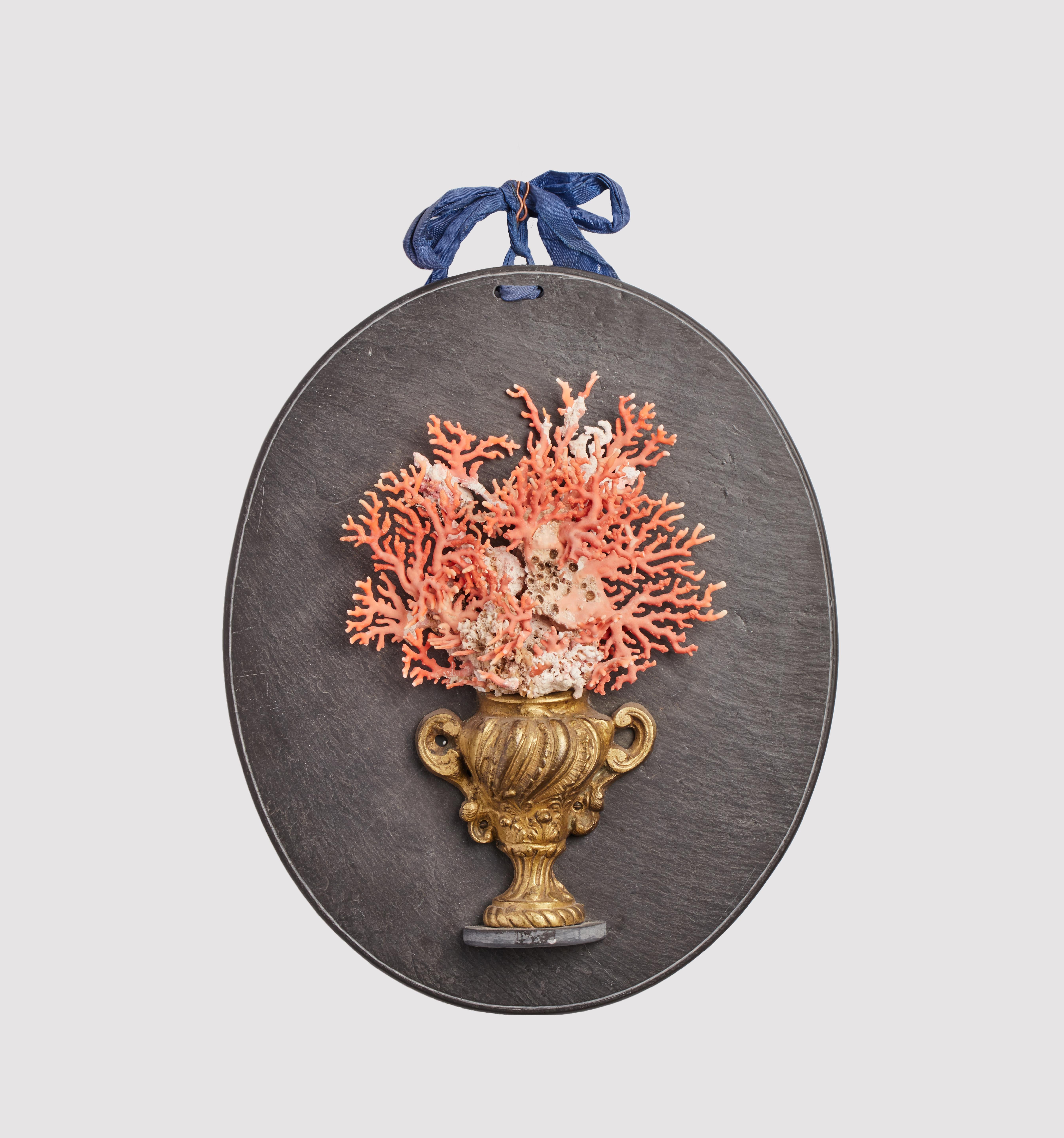 19th Century Branches of Mediterranean Coral, Italy, 1850