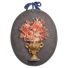 Branches of Mediterranean Coral, Italy, 1850