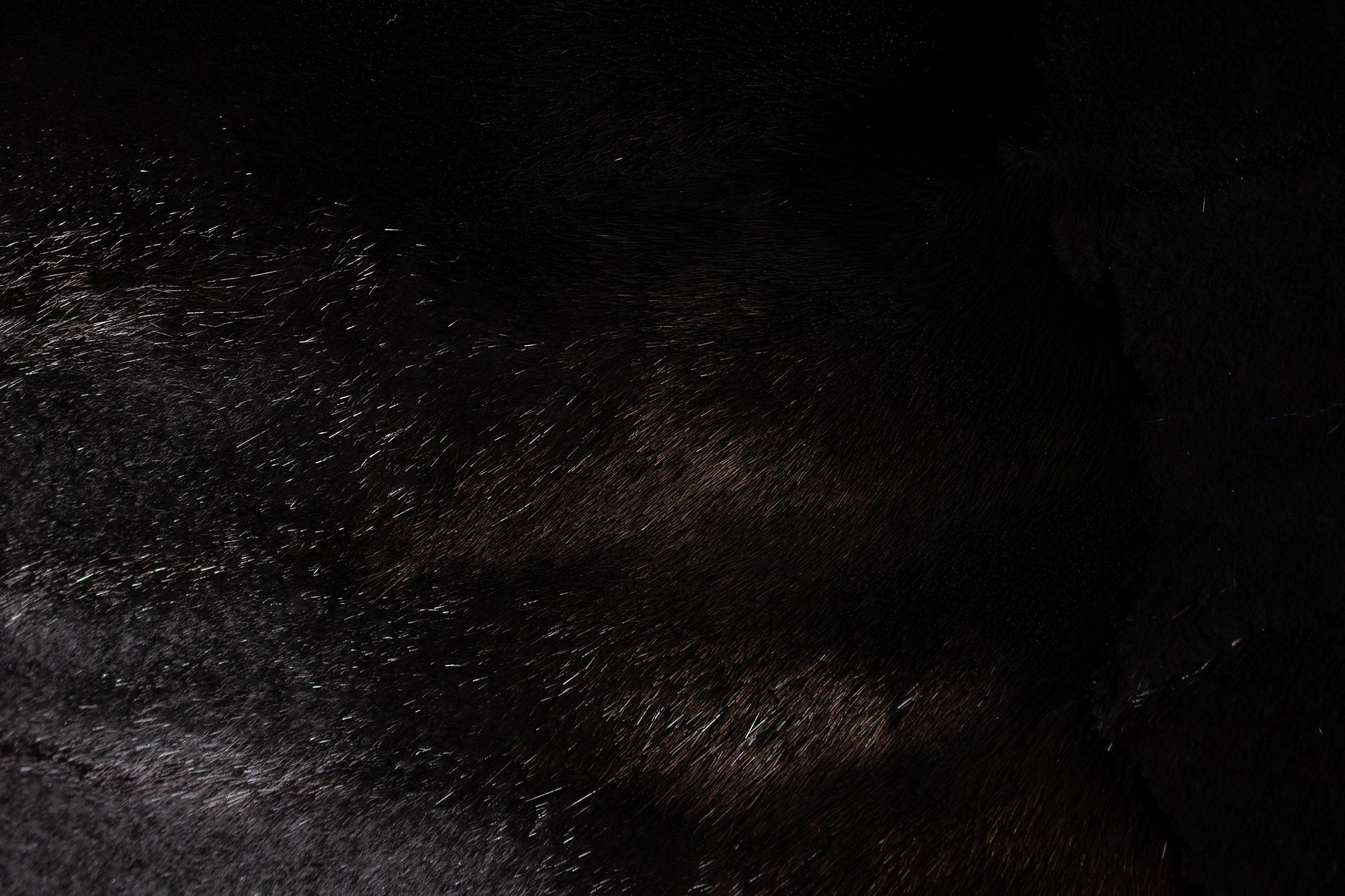 Nouveau Oreiller en fourrure de chinchilla velours noir (12 