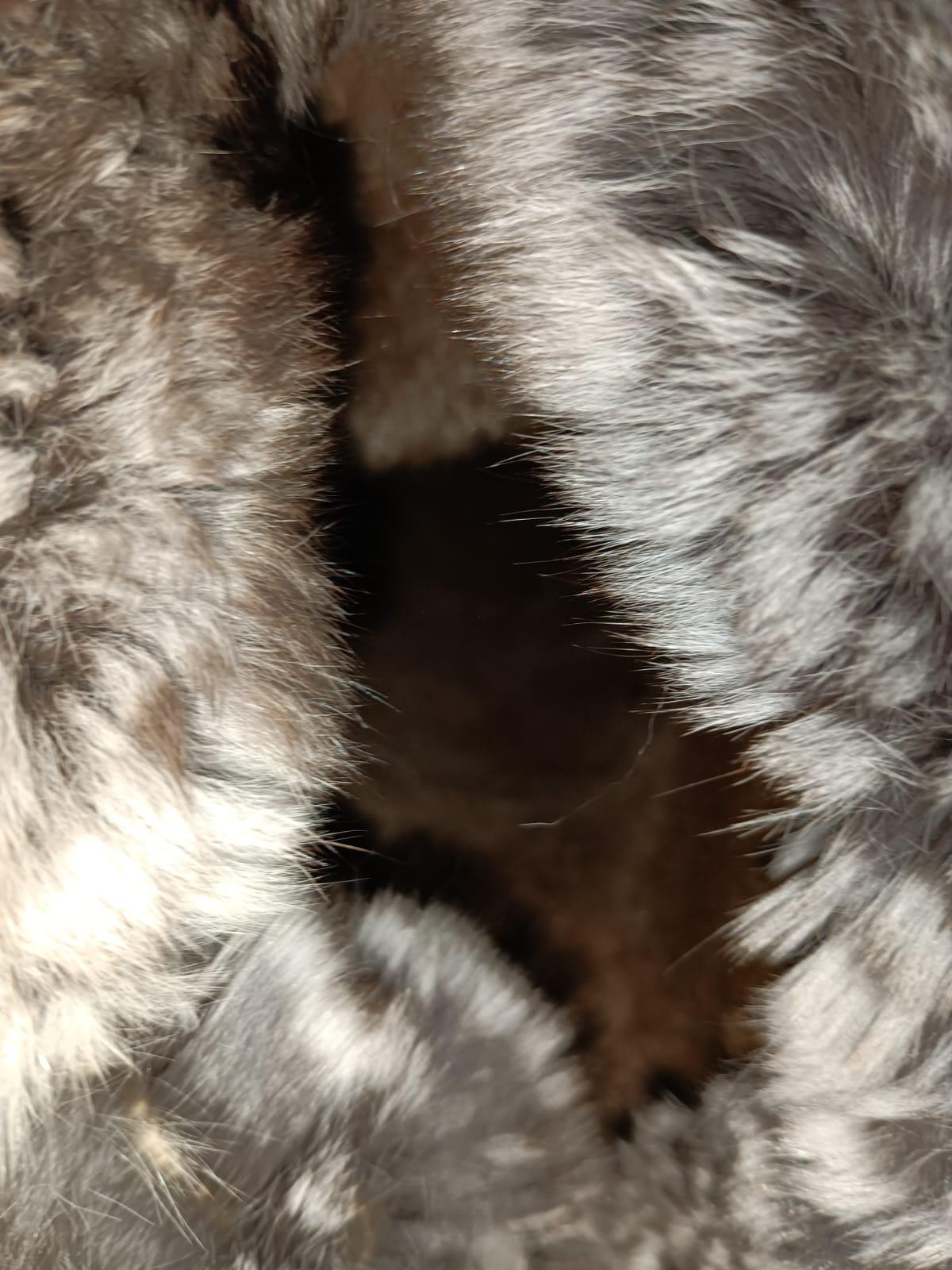 Brand New Chinchilla Fur Mittens with Sheared Beaver Lining For Sale 10