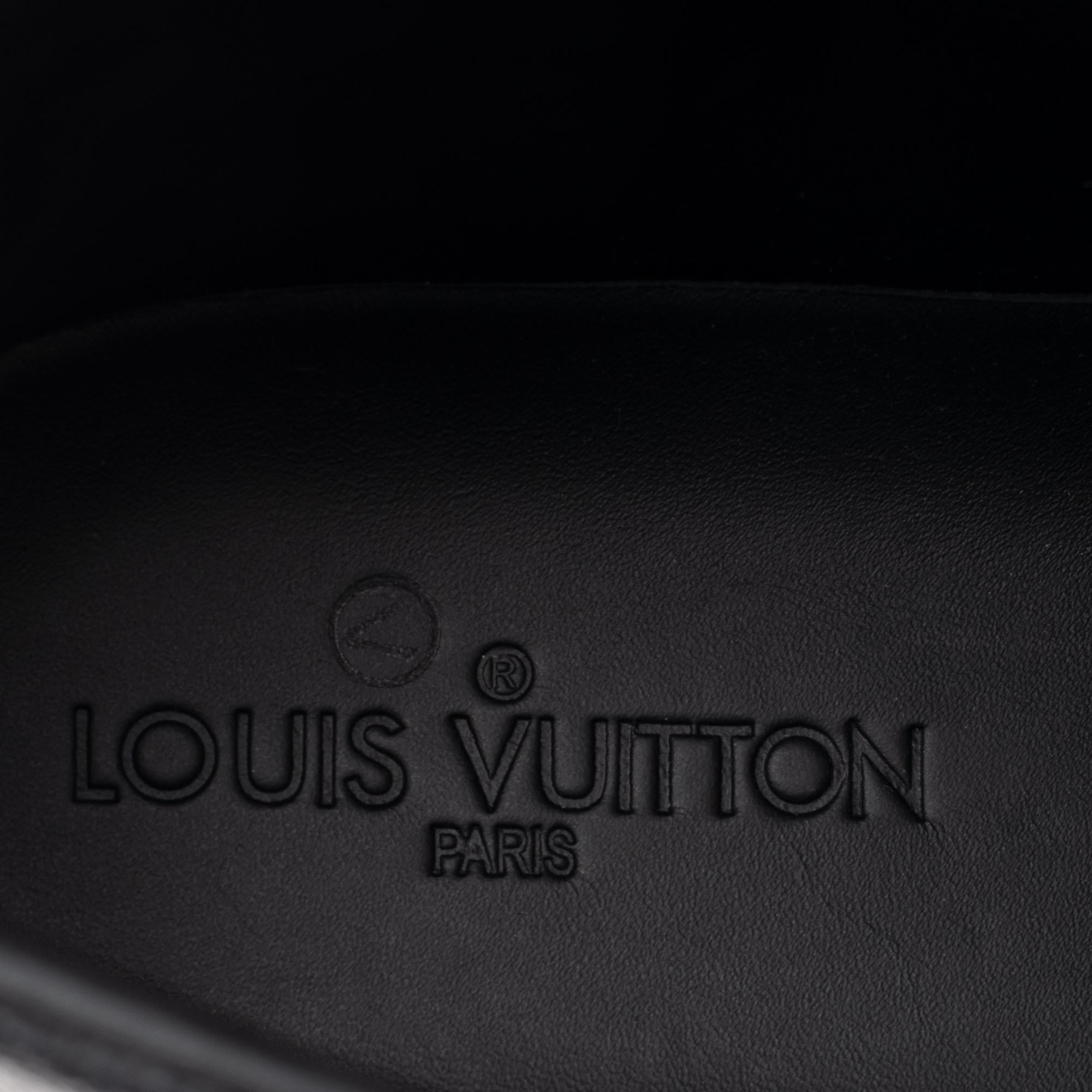 BRAND NEW Louis Vuitton 