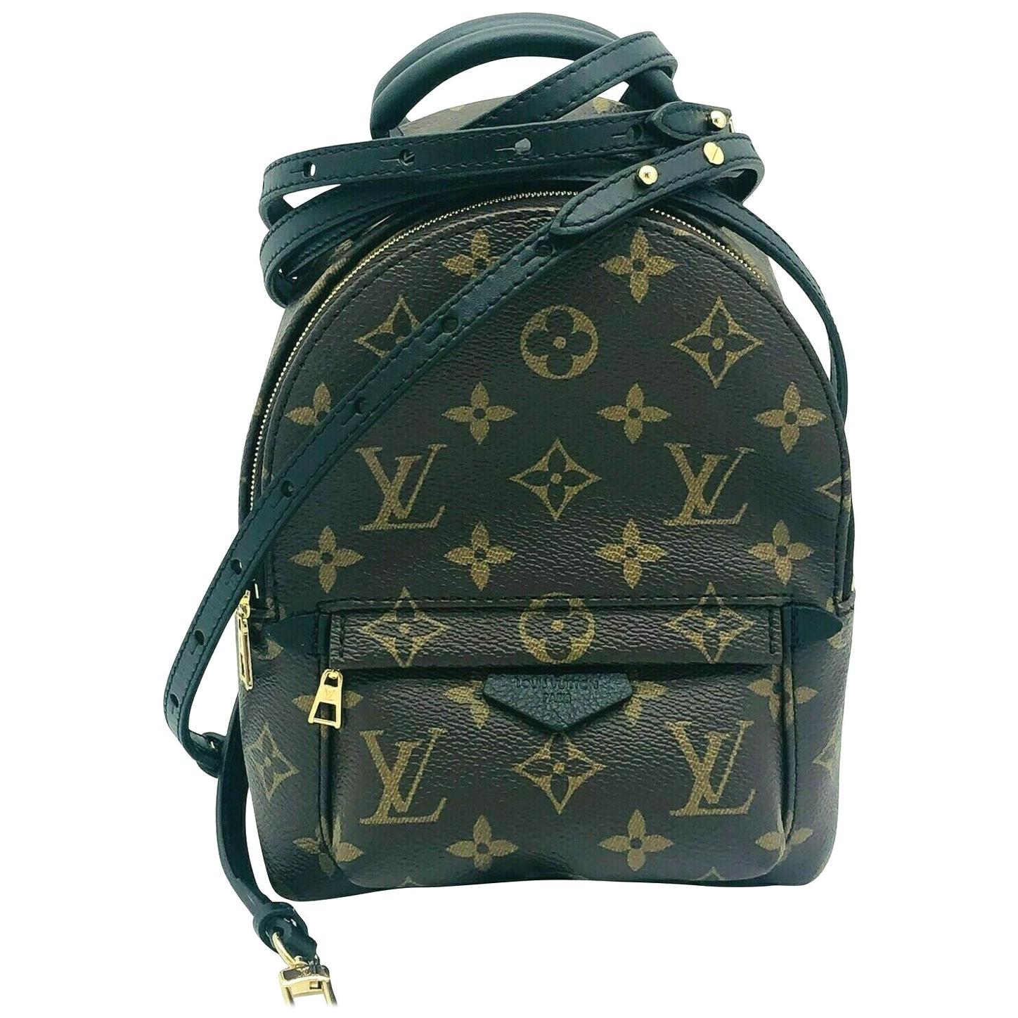 Brand New Louis Vuitton Palm Springs Mini Backpack Monogram For Sale