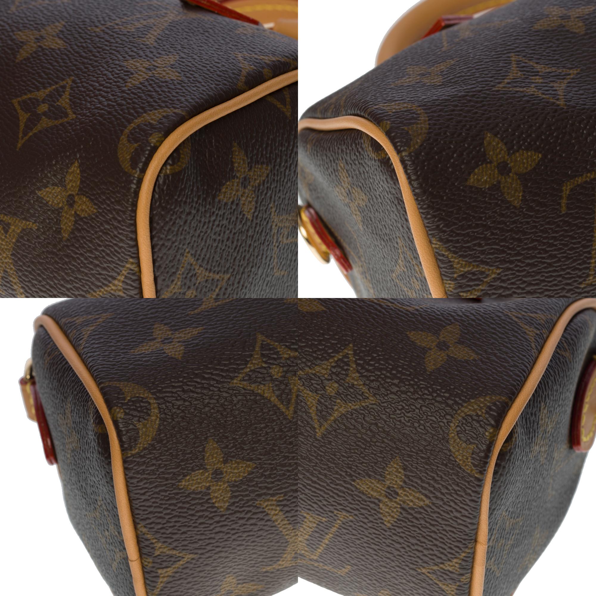 Brandneu - Seltene Louis Vuitton Nano Speedy Handtasche aus braunem Segeltuch 4