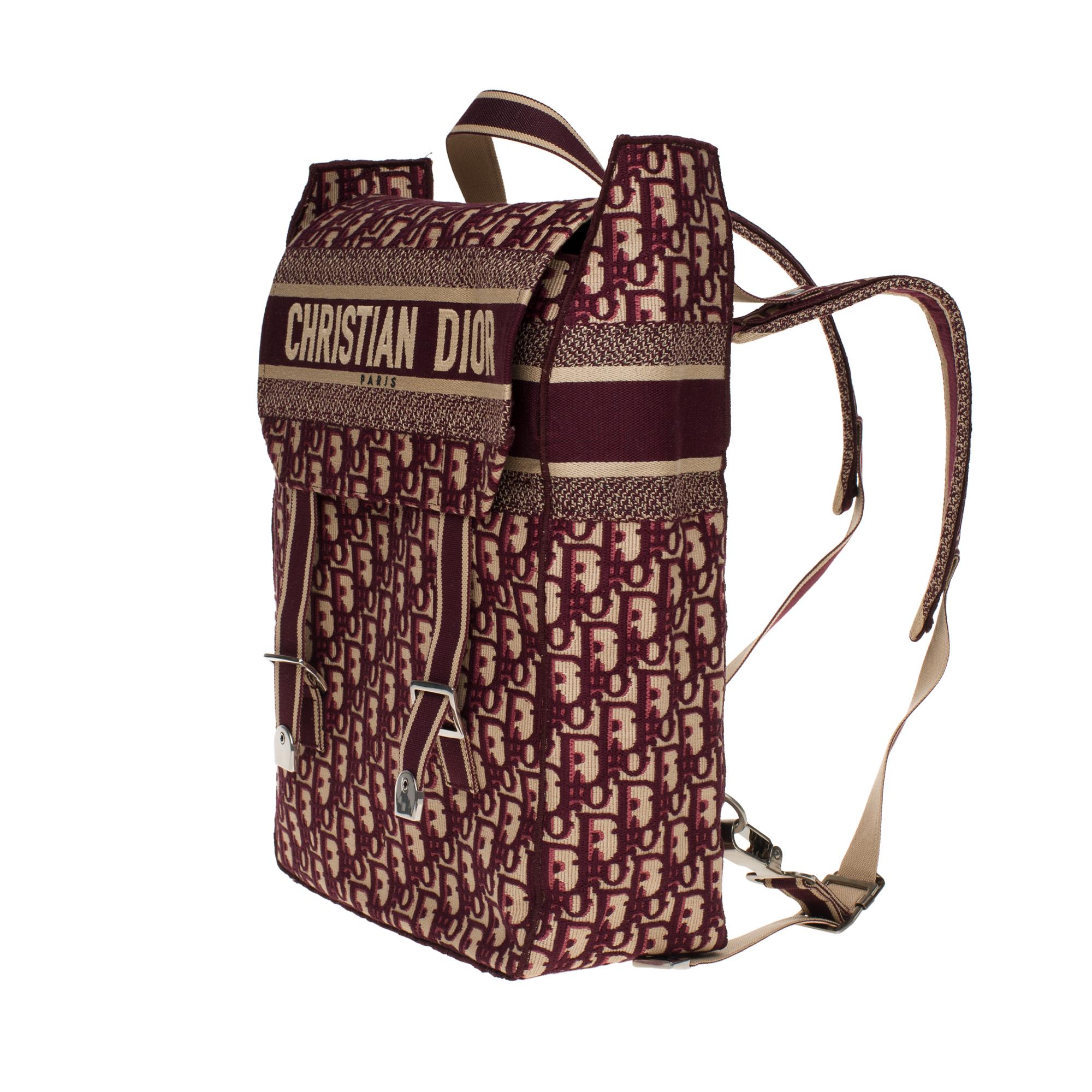 christian dior back pack