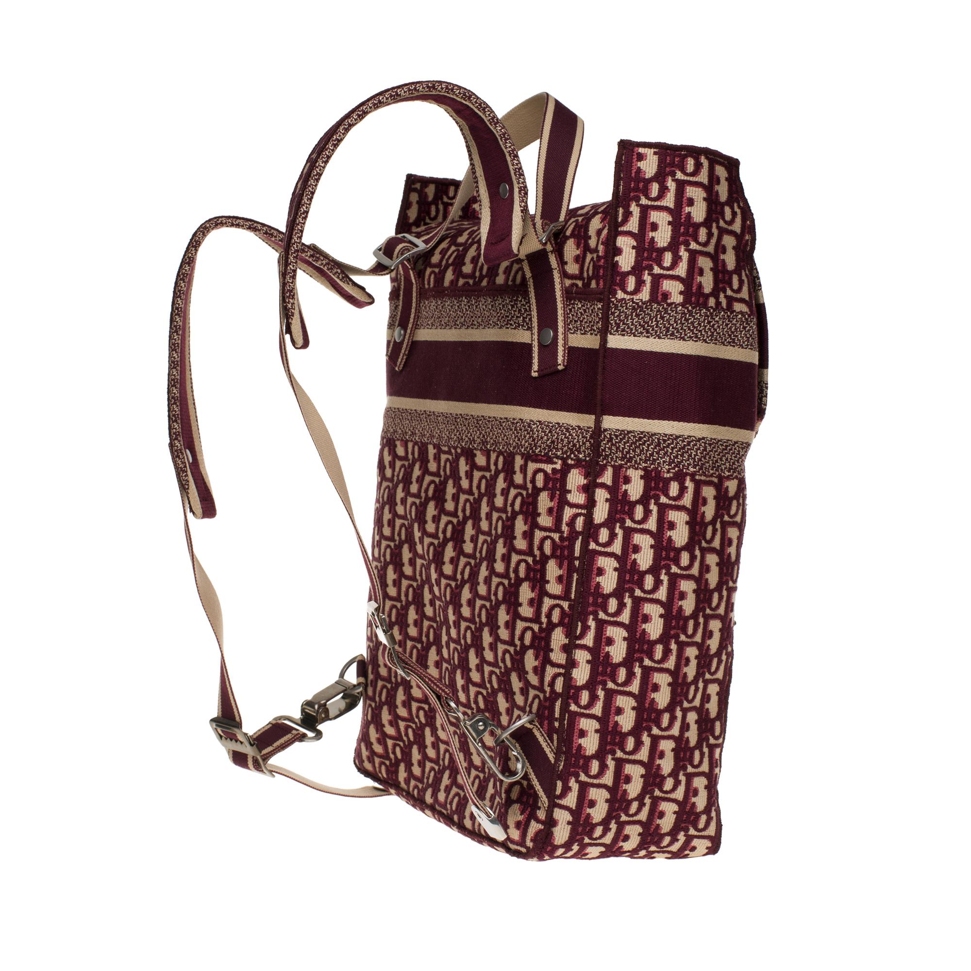christian dior paris backpack
