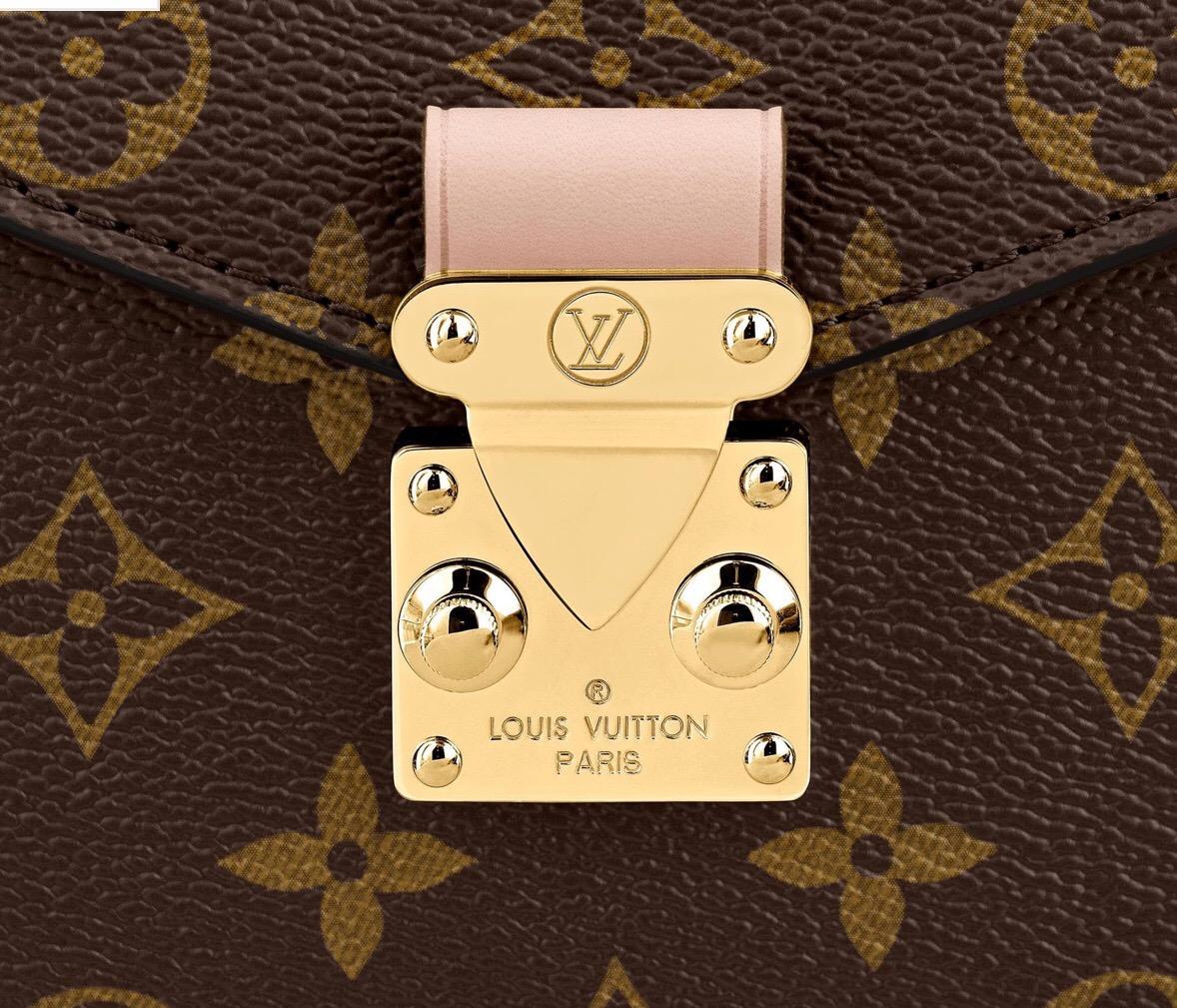 louis vuitton brown bag
