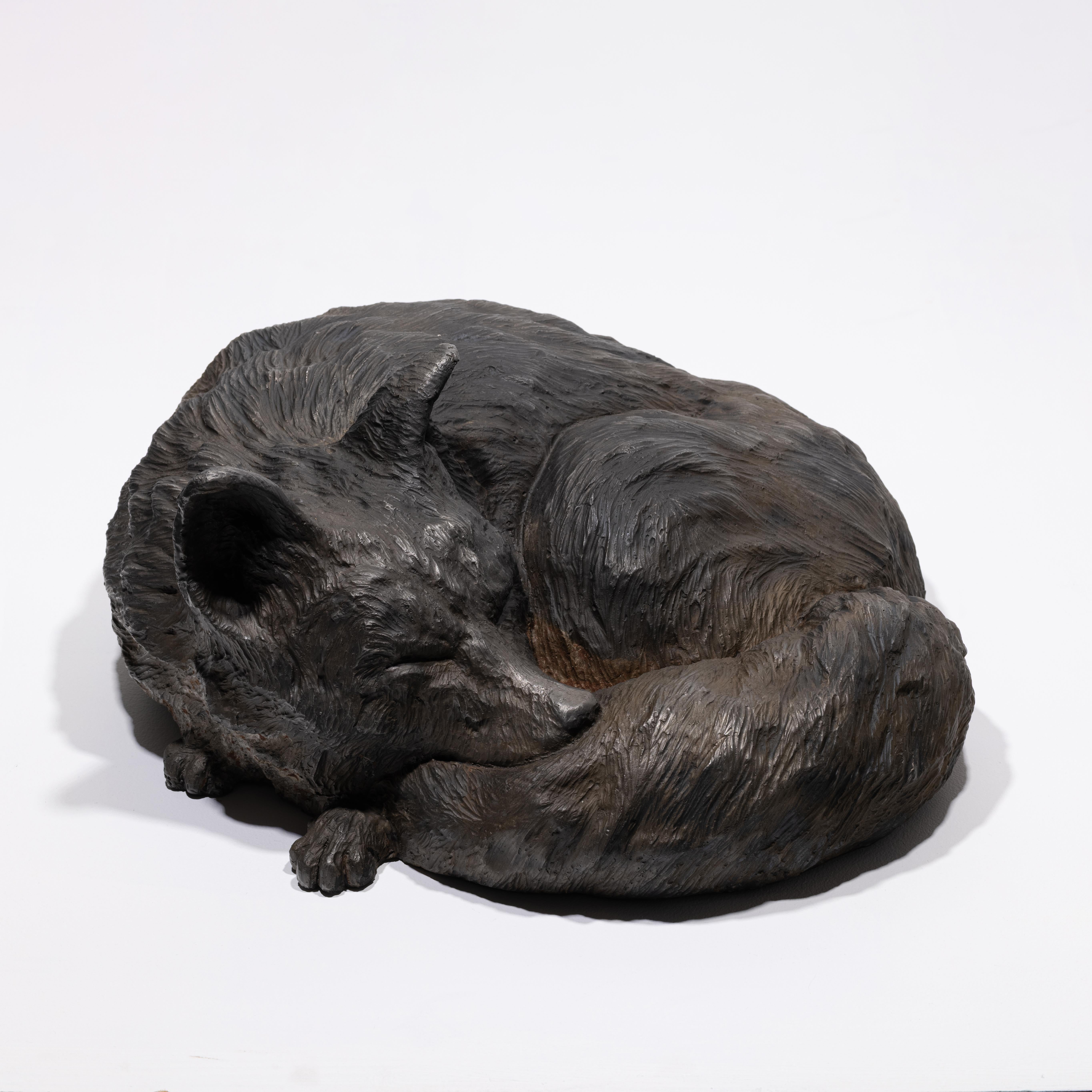 Renard roux