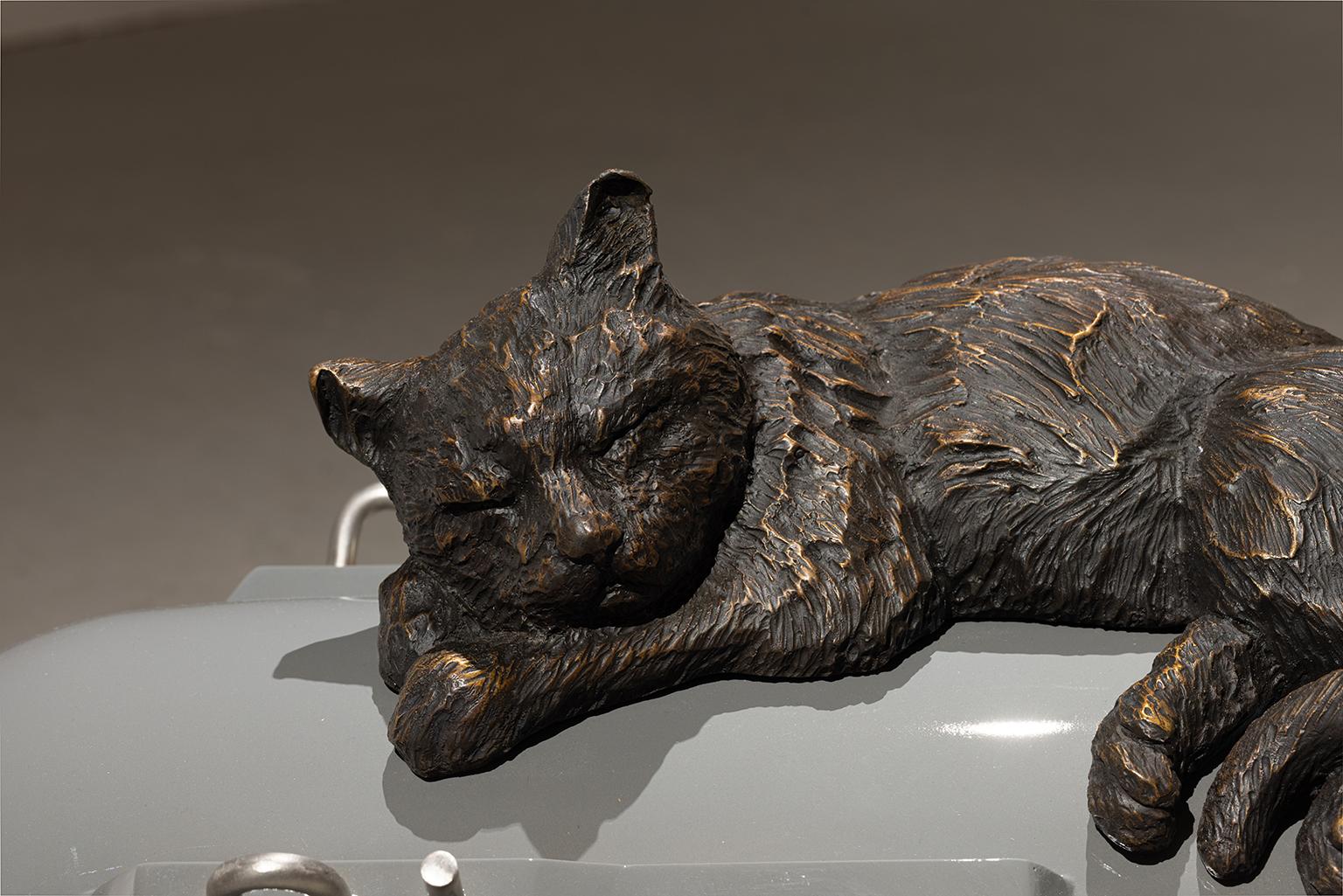 Little Boy For Sale 1