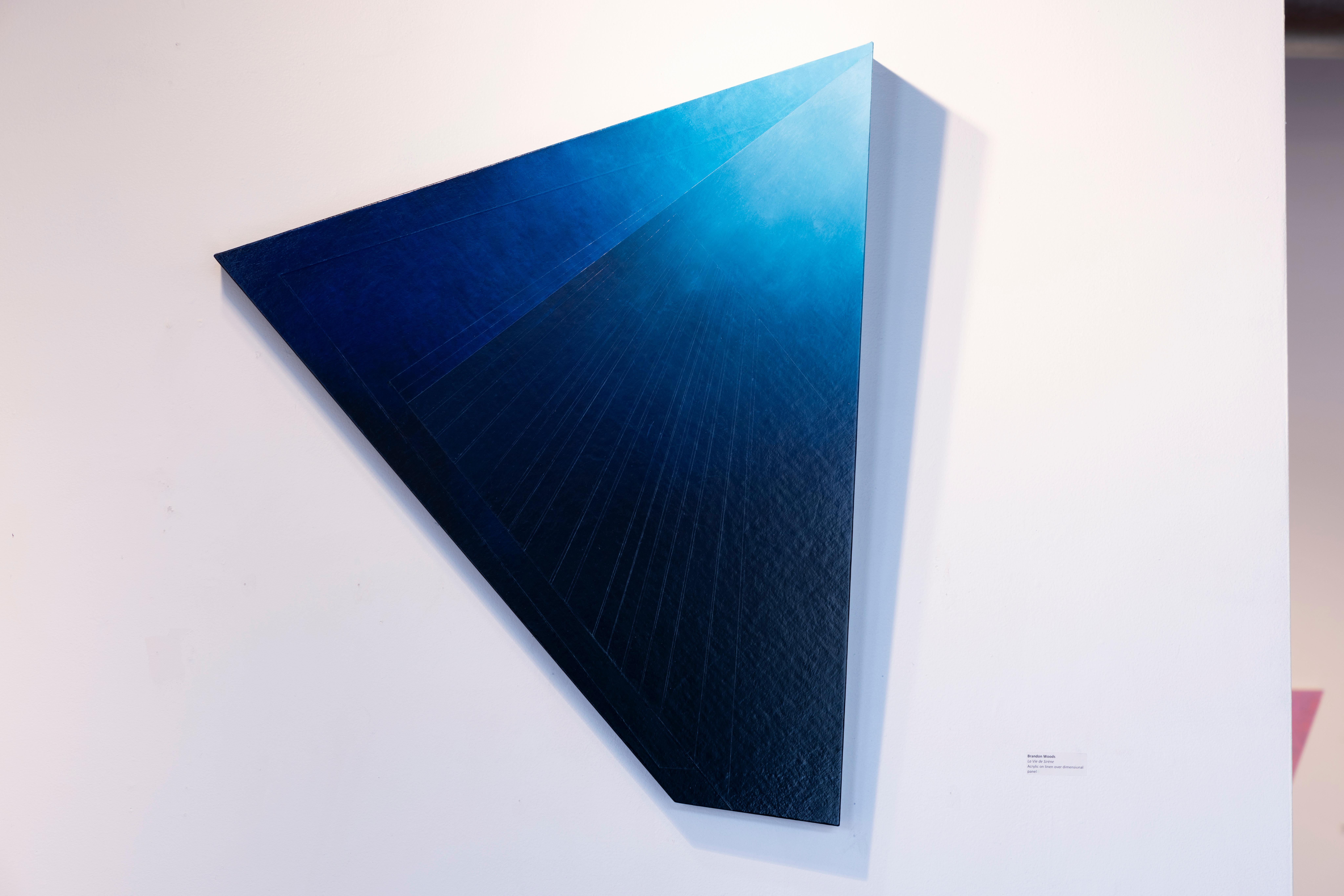 LA VIE DE SIRNE - Geometrische Wandbehang/Skulptur aus Acryl und Holzplatte (Zeitgenössisch), Painting, von Brandon Woods