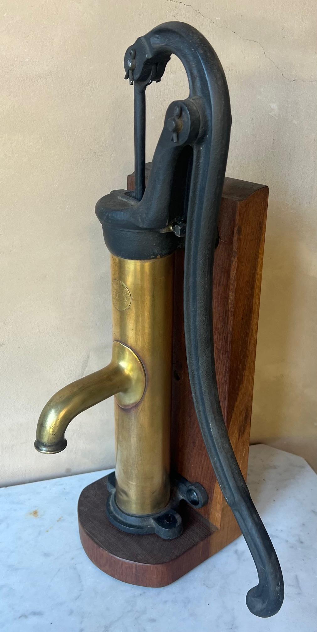 Brass and Cast Iron Antique Pump and Spout Mounted on Wood, c. 1900 For Sale 9