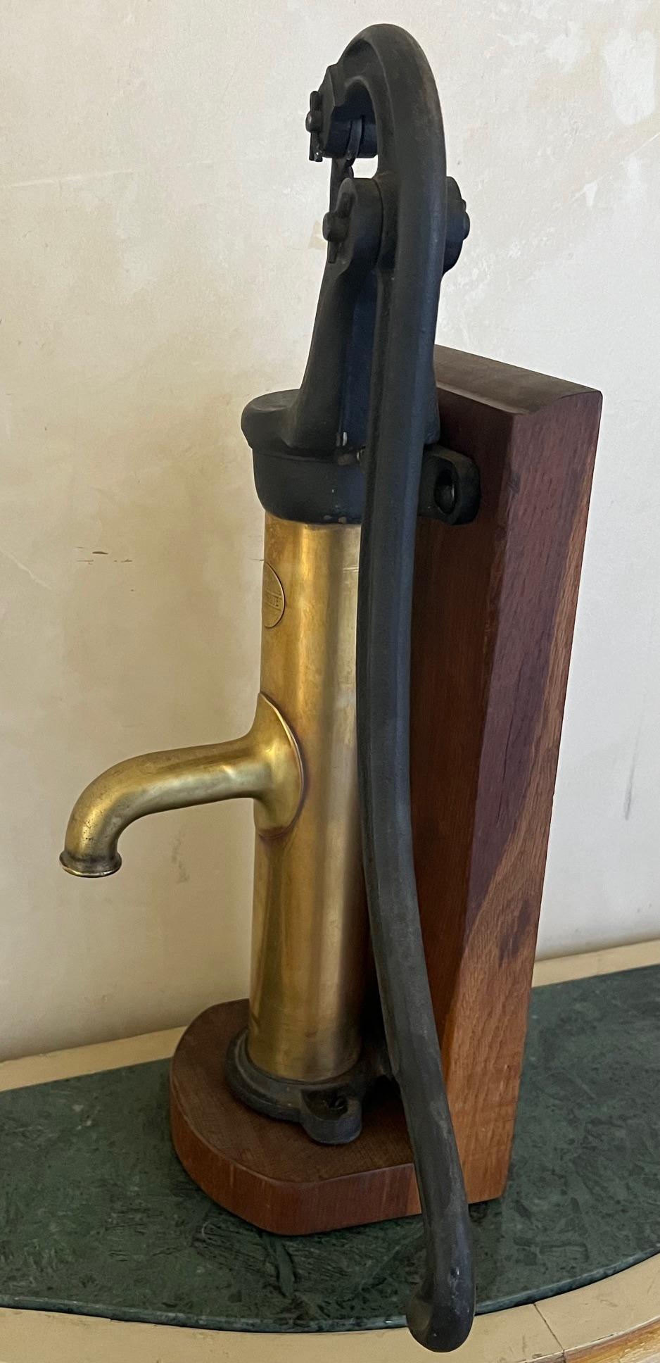 Brass and Cast Iron Antique Pump and Spout Mounted on Wood, c. 1900 For Sale 2