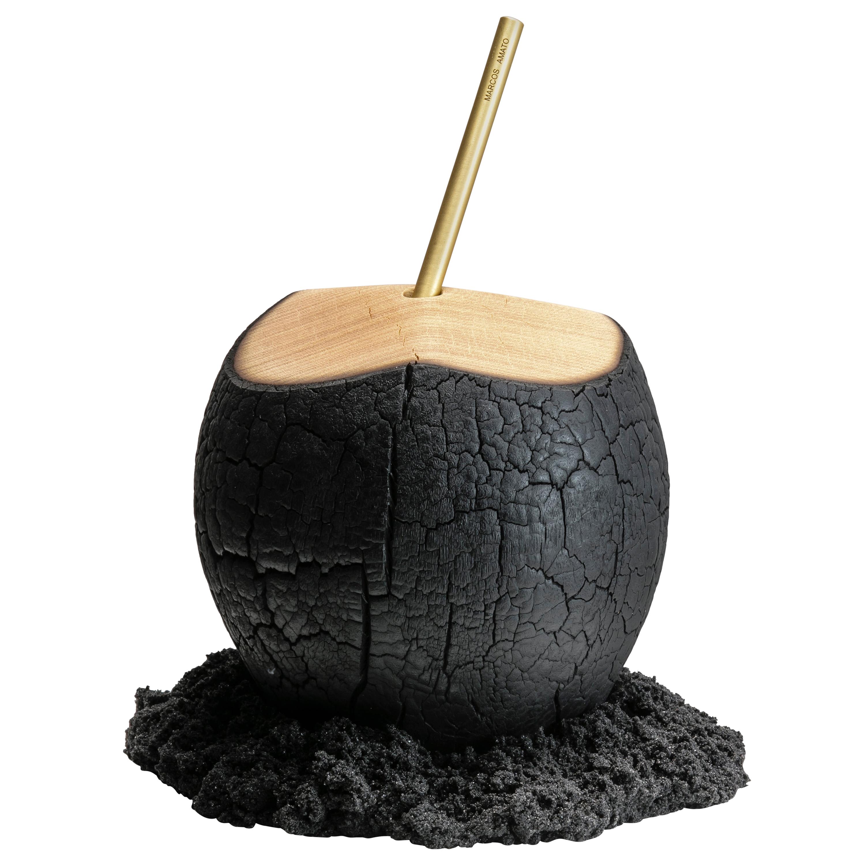 "Brasa" Contemporary Sculpture Coconut by Marcos Amato, Limited Edition For Sale
