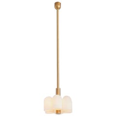 Odyssey 6 Brass Pendant Light by Schwung