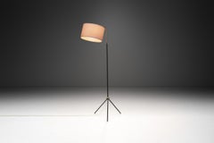 Brass and Black Steel Floor Lamp with Tripod Base, France 1950s