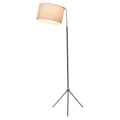 Brass and Black Steel Floor Lamp with Tripod Base, France 1950s