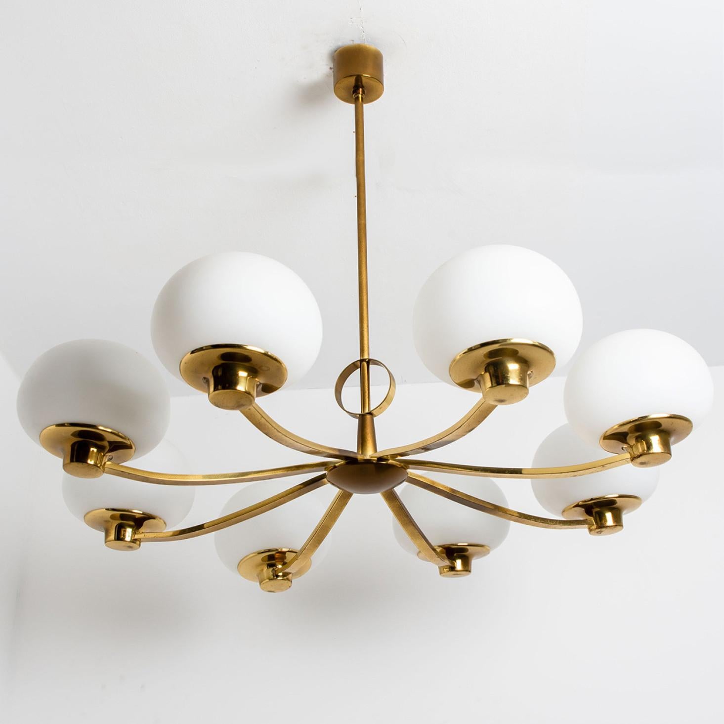 Beautiful chandelier by Hillebrand. Manufactured in Germany, circa 1960.
With beautiful glass shades and brass details on a brass mounting hardware. The chandelier shows 8 arms, each with an opaque white glass shade. This chandelier illuminates