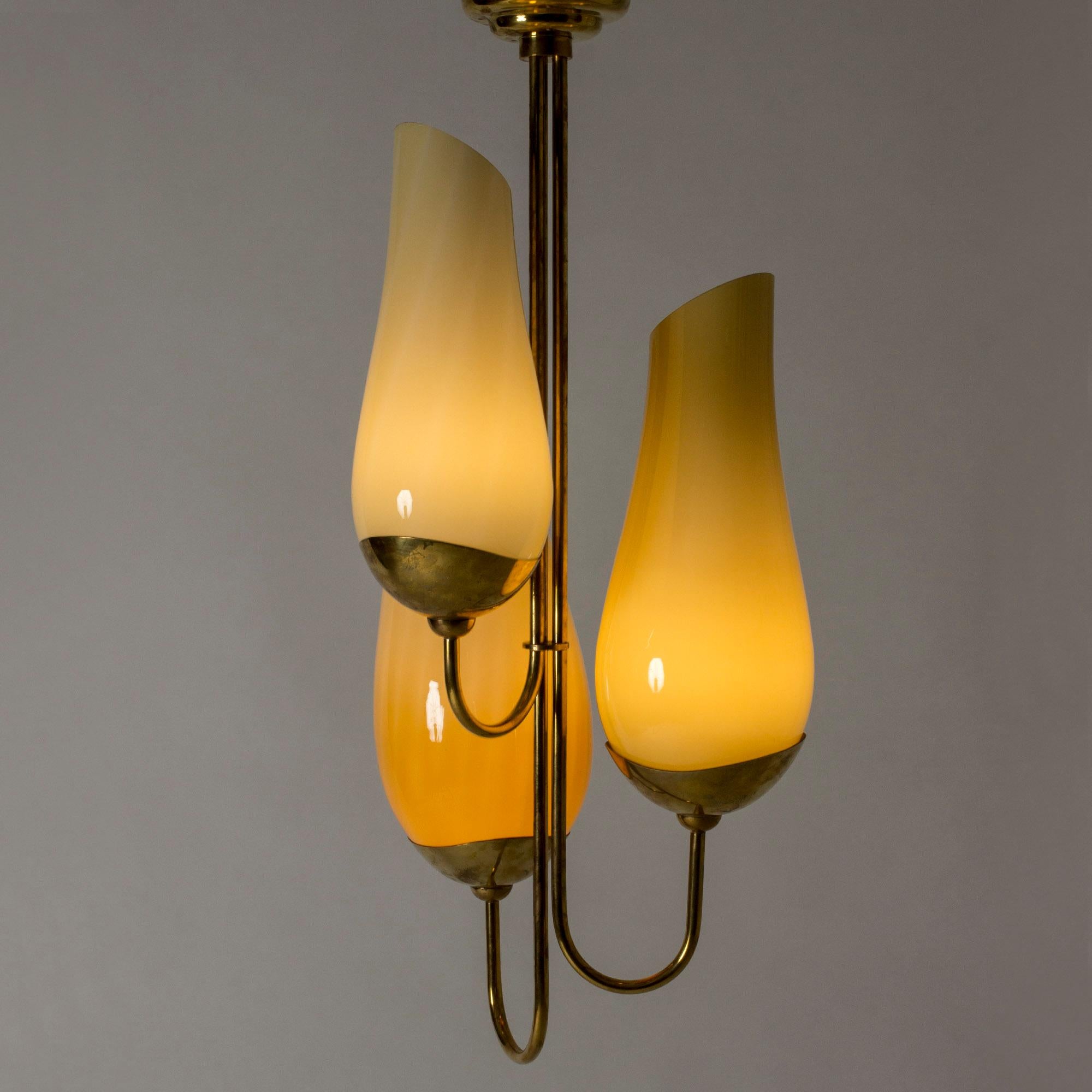 Captivating chandelier by Gunnel Nyman and Paavo Tynell, made from brass with light yellow glass shades. Impressive size. The form of the shades is reminiscent of calla lilies, each a slightly different size. A subtle pattern can be seen in the