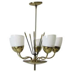 Brass and Glass Chandelier by Majestic in the Style of Arredoluce