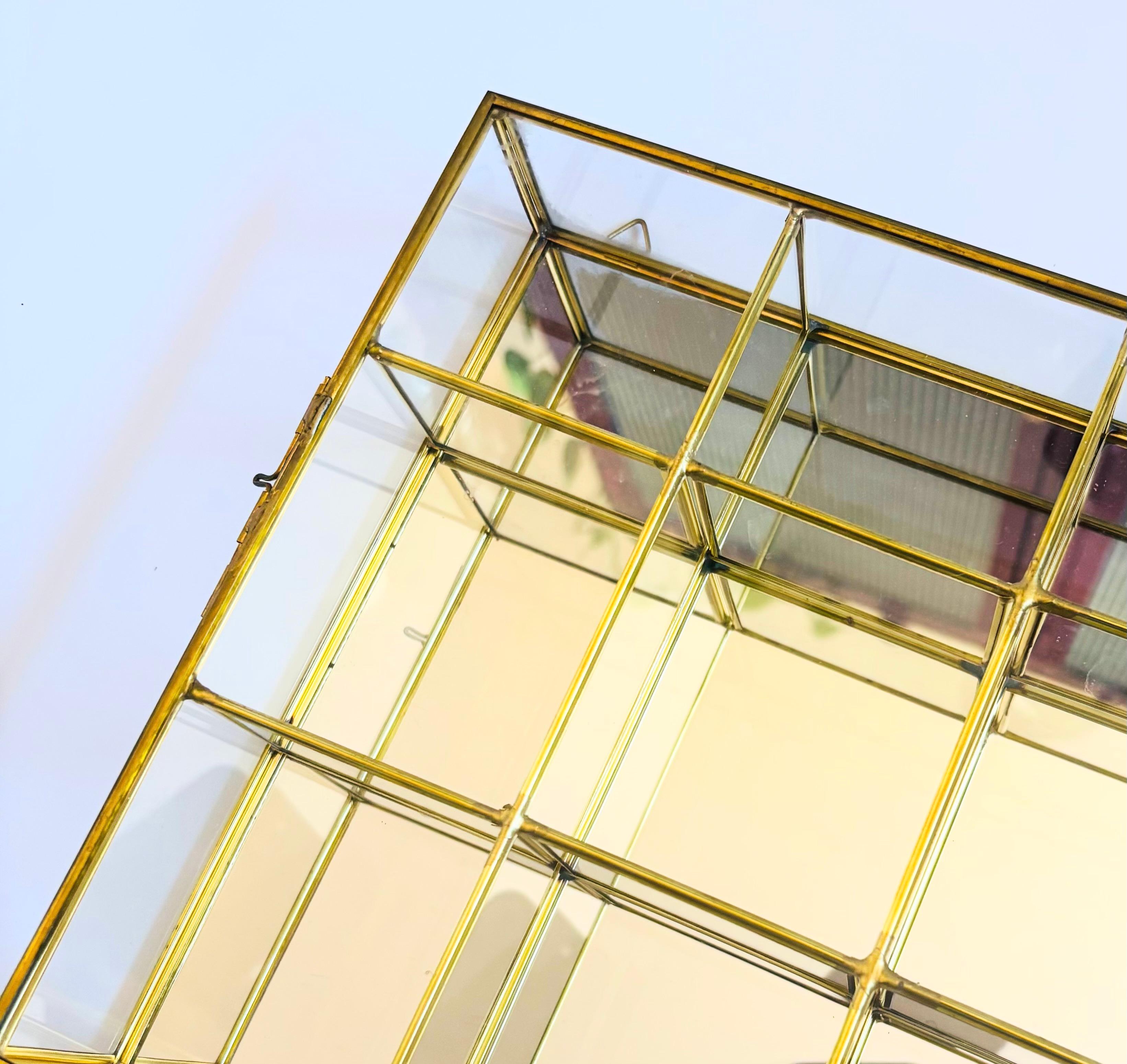 Hollywood Regency Vetrina Curio in ottone e vetro in vendita