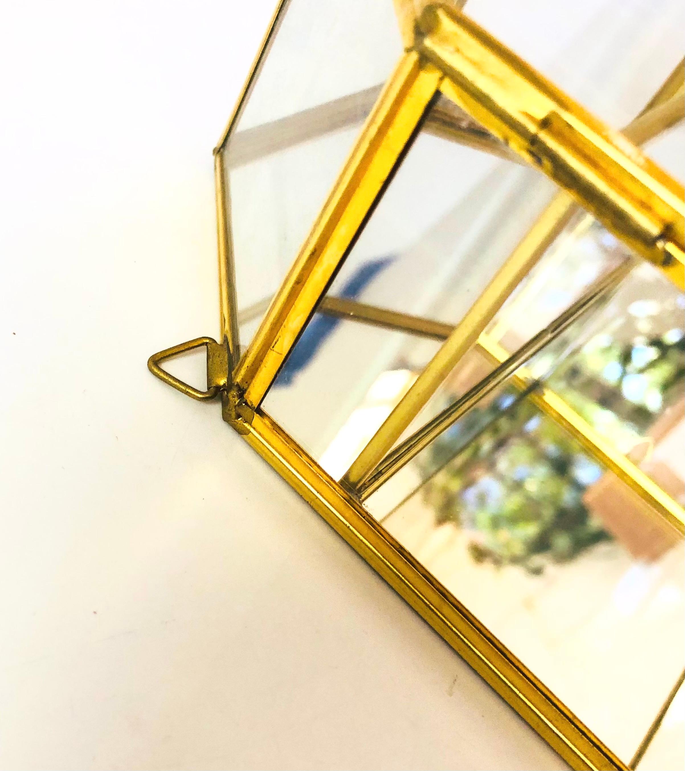 Brass and Glass Curio Wall Hung Display Case 4