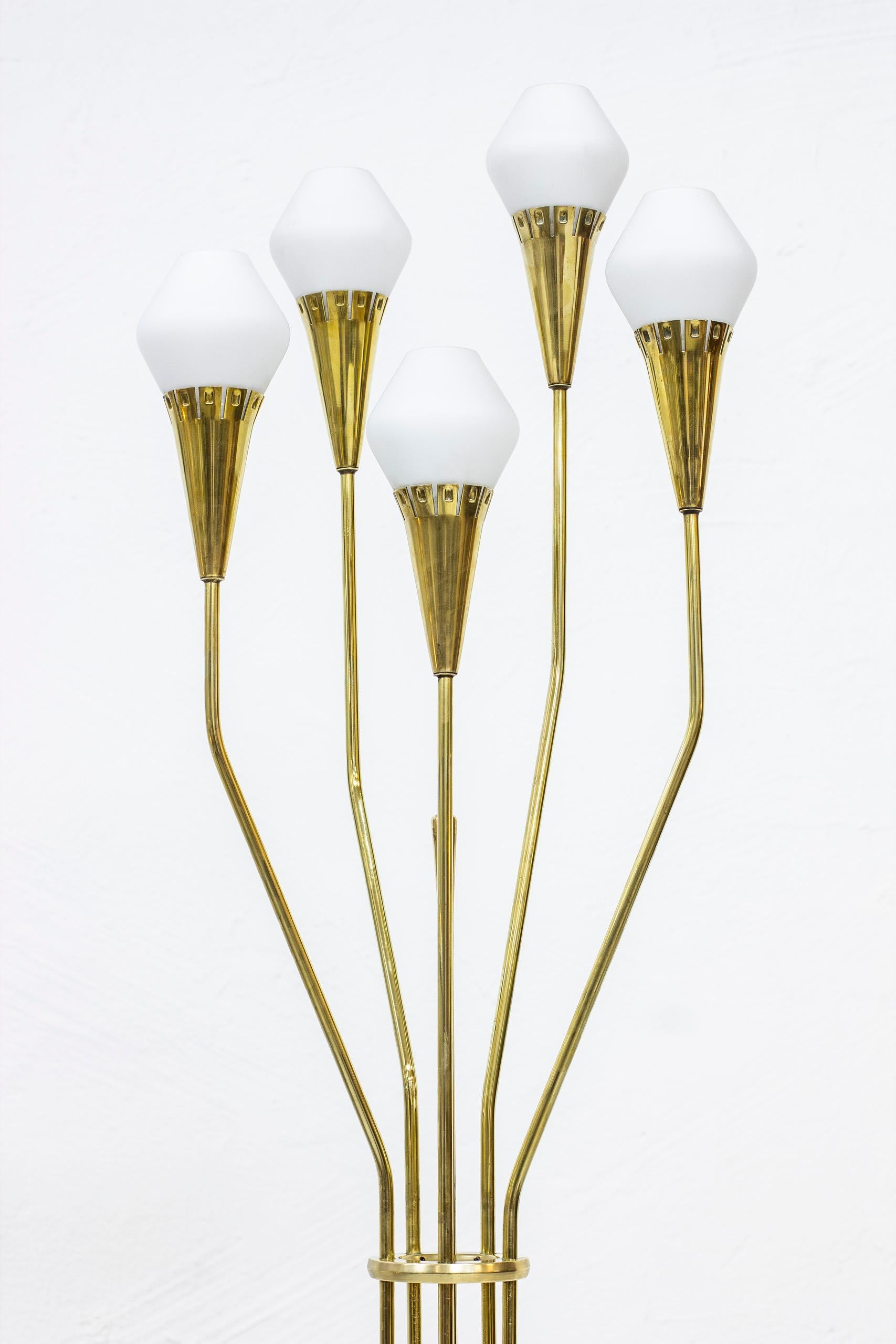 Scandinavian Modern Brass and Glass Floor Lamp 