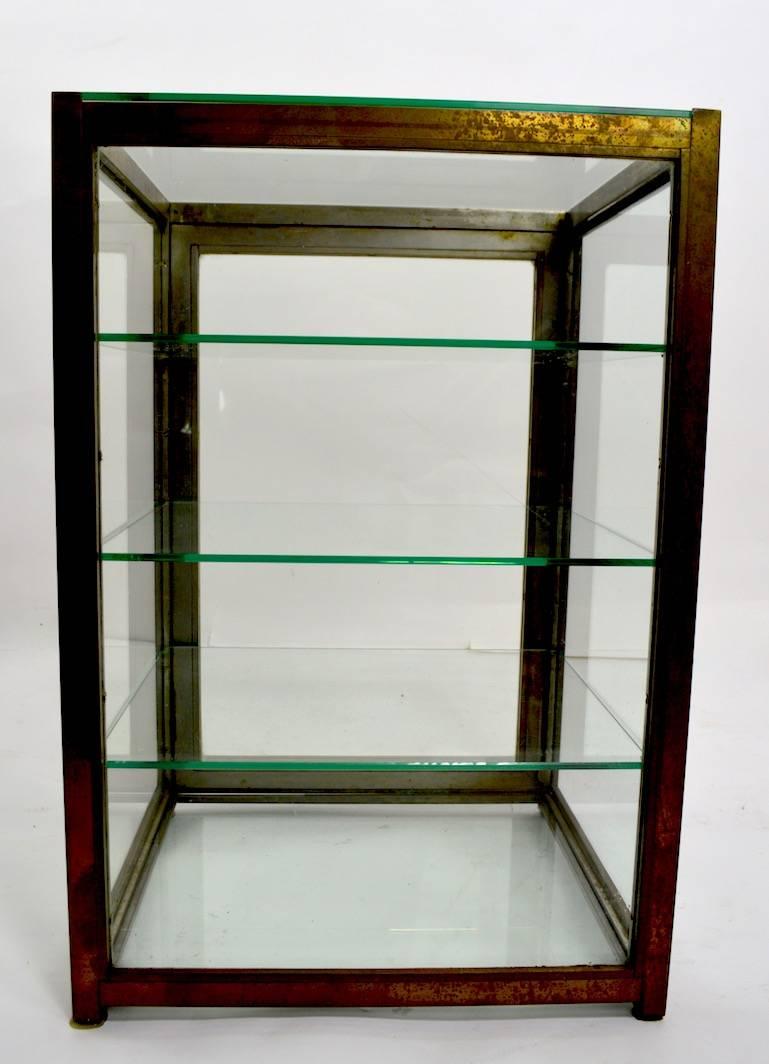 20th Century Brass and Glass Specimen Display Showcase