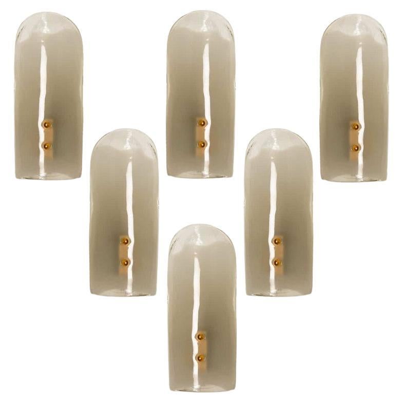 Brass and Hand Blown Murano Glass Wall Lights by J.T. Kalmar, 1960s