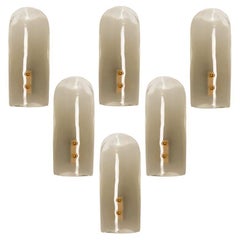 Brass and Hand Blown Murano Glass Wall Lights by J.T. Kalmar, 1960s