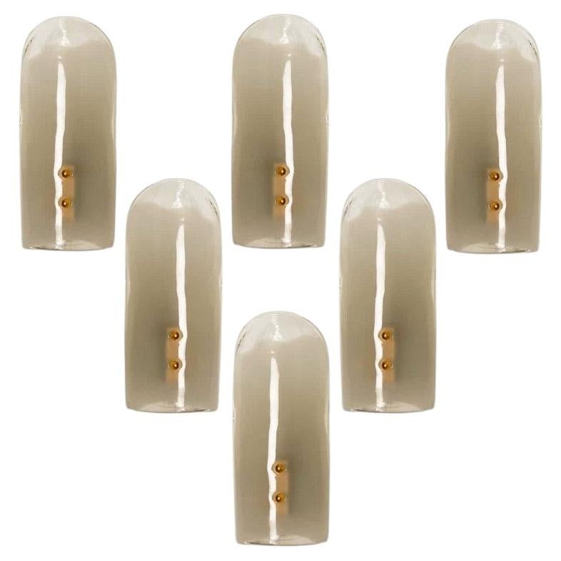 Brass and Hand Blown Murano Glass Wall Lights by J.T. Kalmar, 1960s