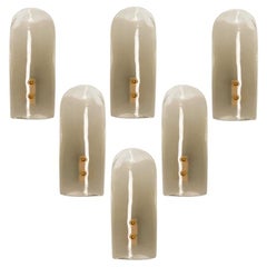 Brass and Hand Blown Murano Glass Wall Lights by J.T. Kalmar, 1960s