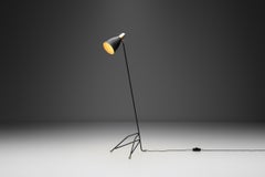 Brass and Lacquered Metal Floor Lamp, Europe 1950s