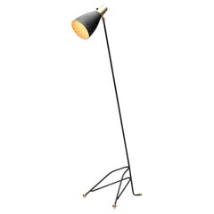 Brass and Lacquered Metal Floor Lamp, Europe 1950s