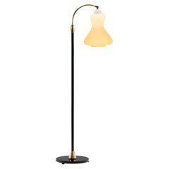 Brass and Lacquered Metal Floor Lamp with Opal Glass Shade, Denmark 1950s