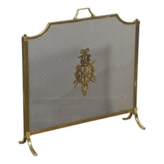 Brass and mesh fire screen