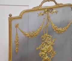 Brass and mesh French fire screen