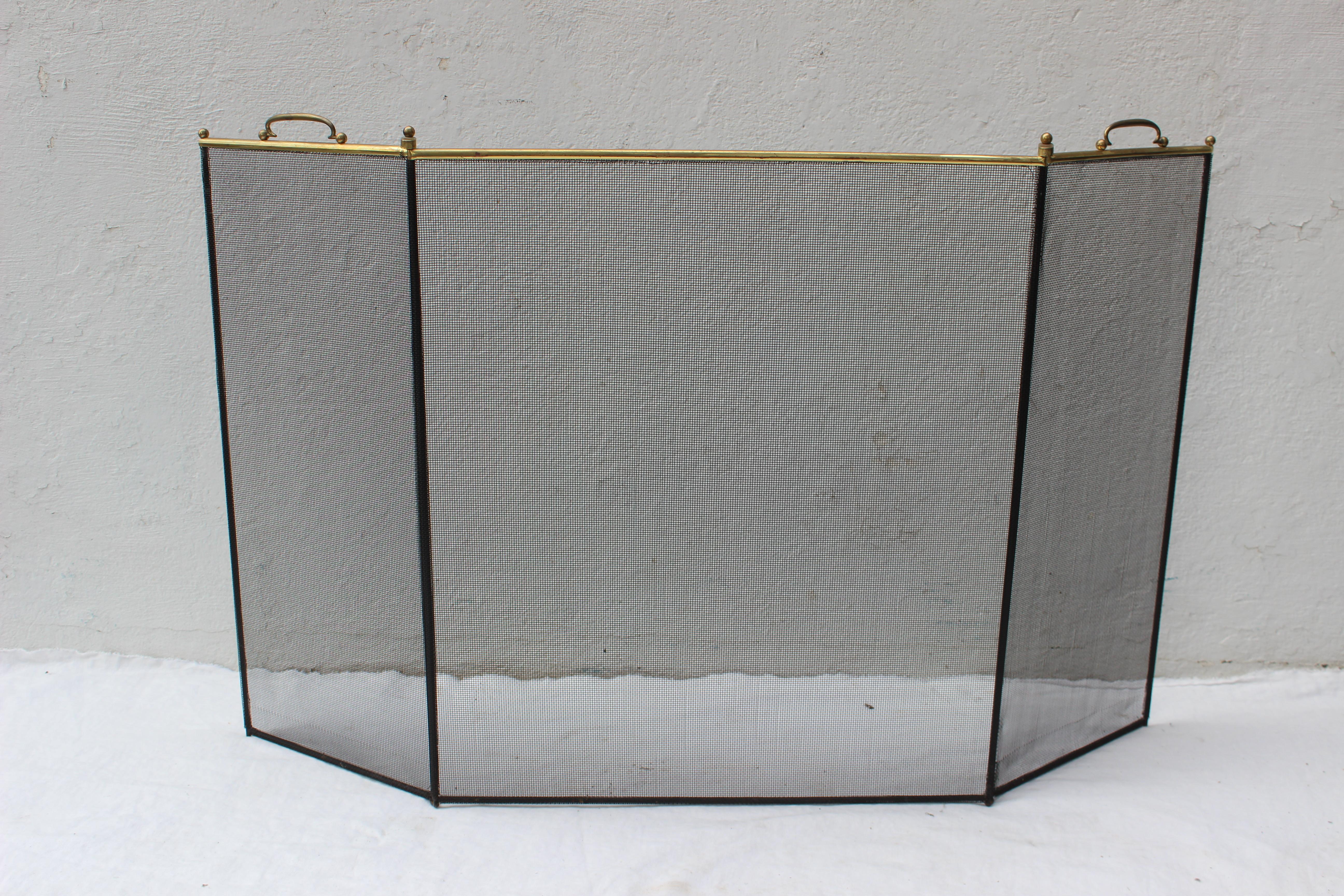 Brass and metal wire mesh fireplace screen
30