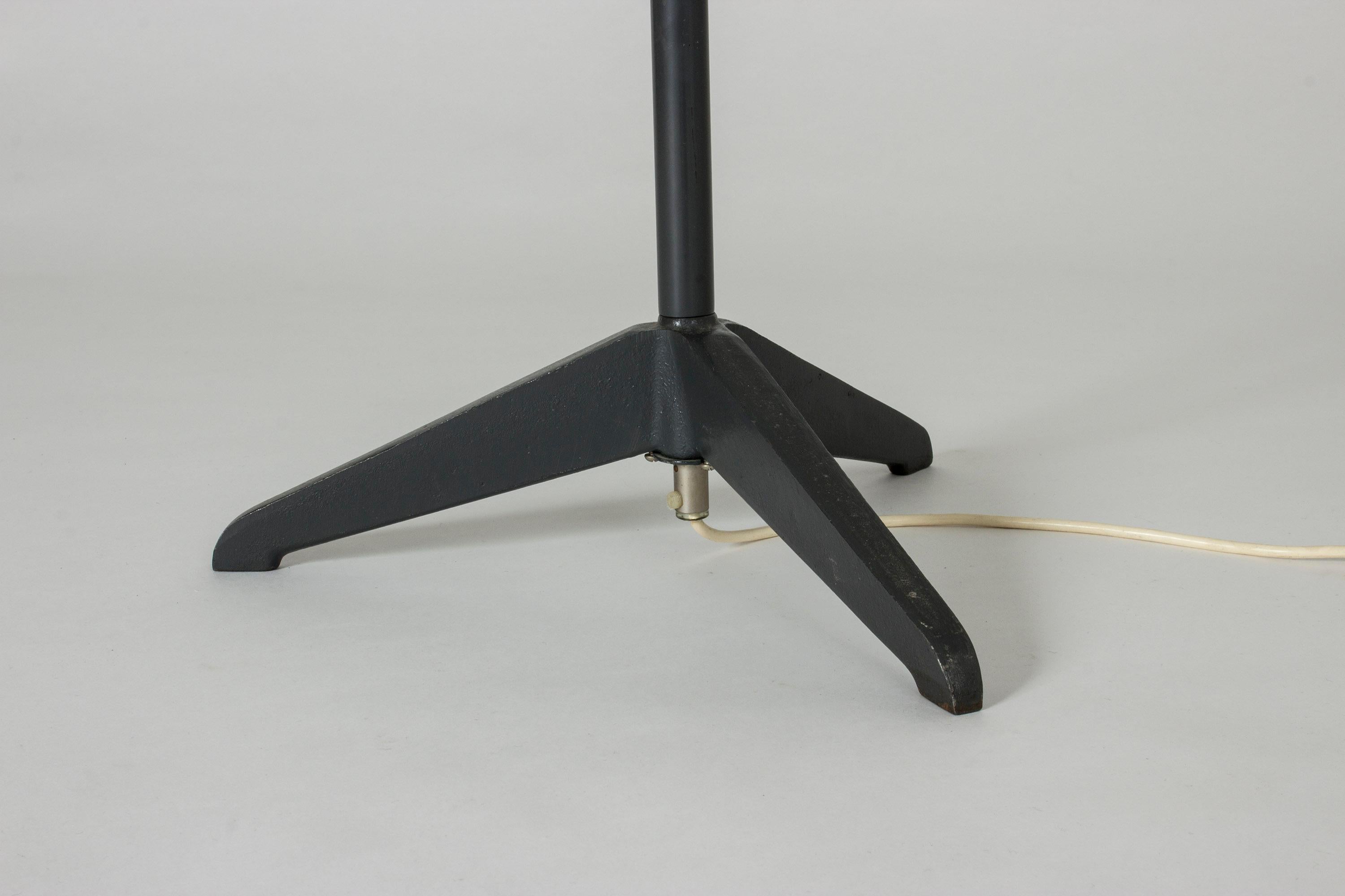 Brass and Metal Floor Lamp from ASEA 3