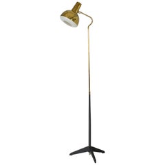 Brass and Metal Floor Lamp from ASEA
